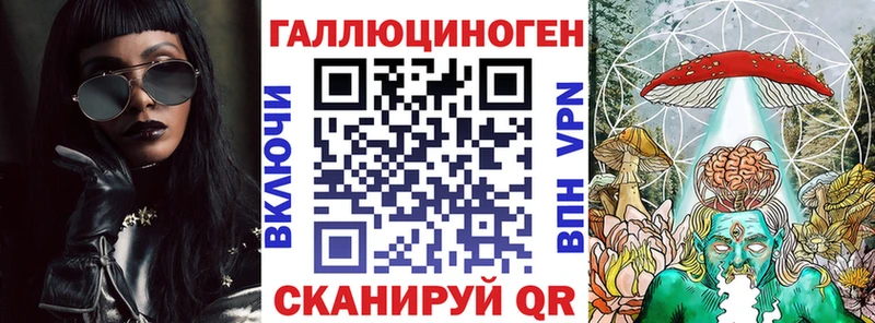 MEGA как войти  Новомичуринск  Псилоцибиновые грибы Cubensis 